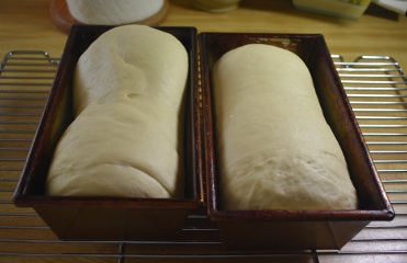 Image of Risen
	Bread Loaves