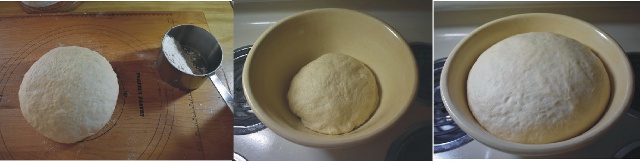Images of Stages of rising
	bread dough