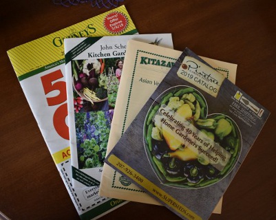 Seed Catalogs image